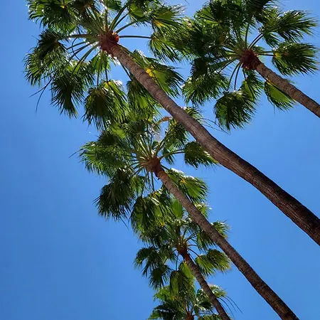 Playa De Americas El Dorado Con Vistas Directas Piscina Apartment *